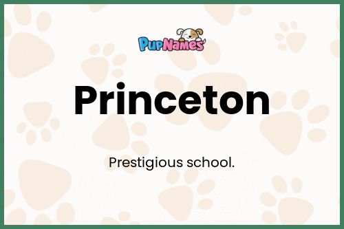 Princeton dog name meaning