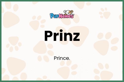 Prinz dog name meaning