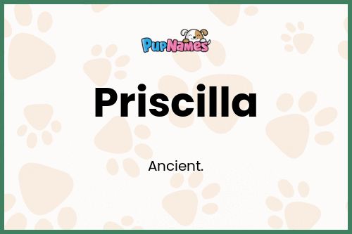 Priscilla dog name meaning