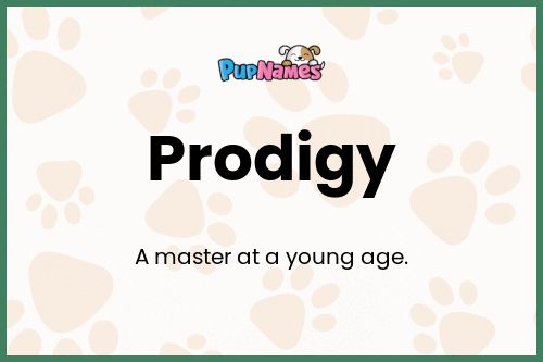 Prodigy dog name meaning