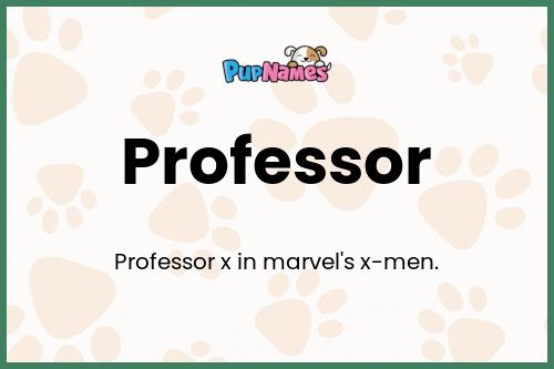 Professor dog name meaning