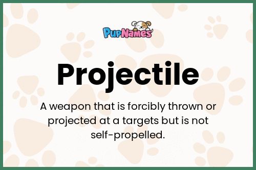 Projectile dog name meaning