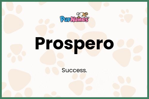 Prospero dog name meaning