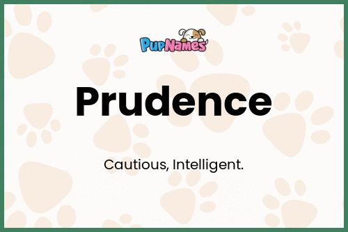 Prudence dog name meaning