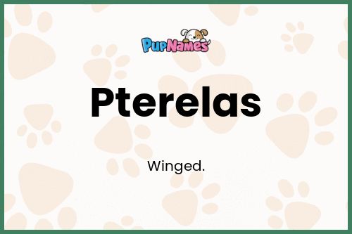 Pterelas dog name meaning