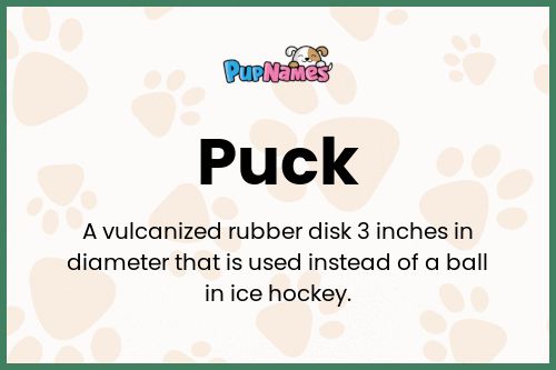 Puck dog name meaning