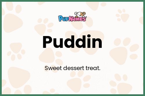 Puddin dog name meaning