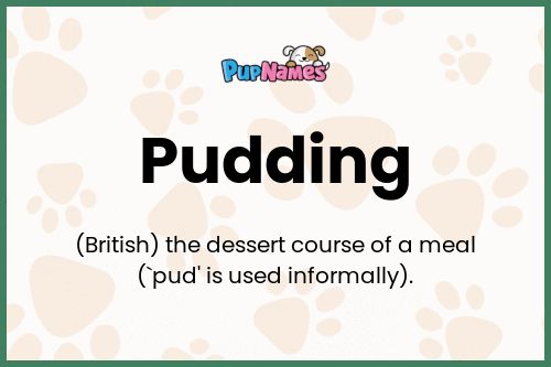 Pudding dog name meaning