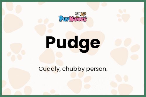 Pudge dog name meaning