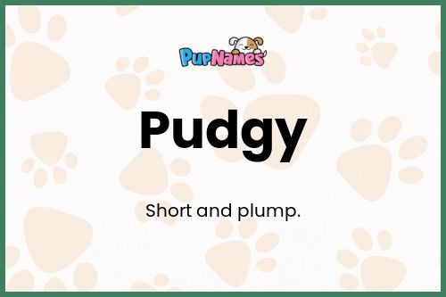 Pudgy dog name meaning