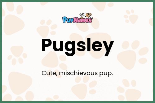 Pugsley dog name meaning