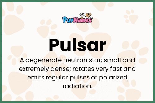 Pulsar dog name meaning