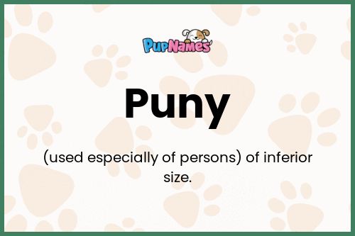 Puny dog name meaning