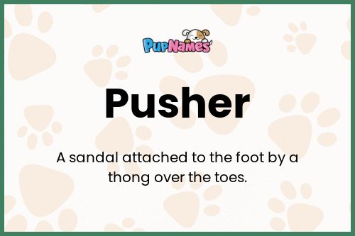 Pusher dog name meaning