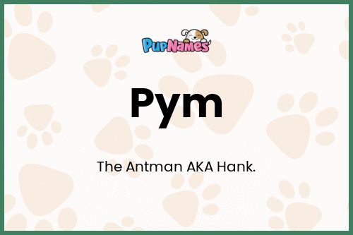 Pym dog name meaning