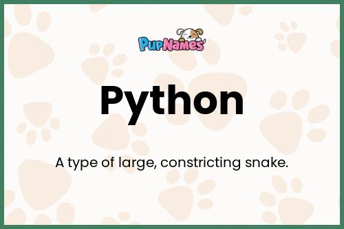Python dog name meaning