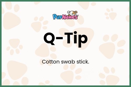 Q-Tip dog name meaning