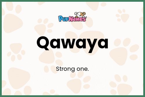 Qawaya dog name meaning