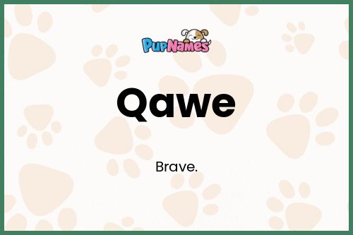 Qawe dog name meaning