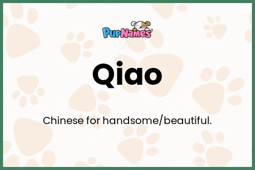 Qiao dog name meaning