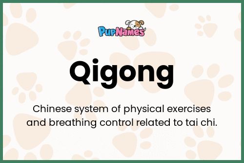 Qigong dog name meaning