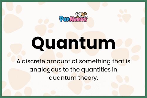 Quantum dog name meaning