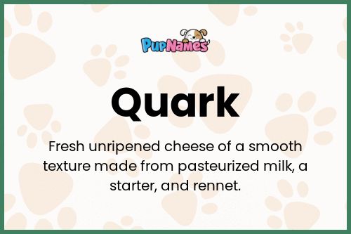 Quark dog name meaning