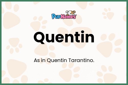 Quentin dog name meaning