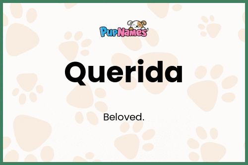 Querida dog name meaning