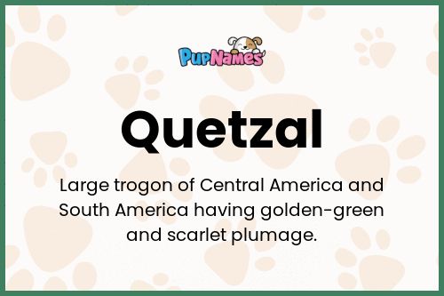 Quetzal dog name meaning