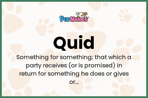 Quid dog name meaning