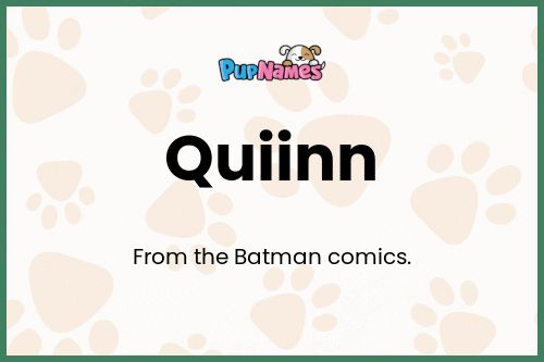 Quiinn dog name meaning