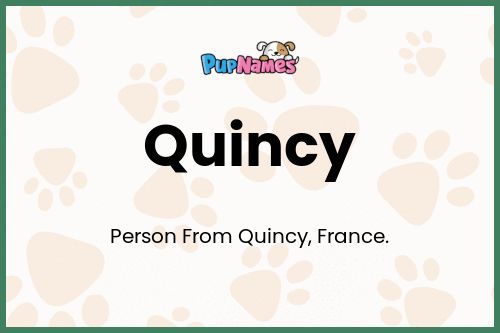 Quincy dog name meaning