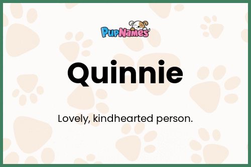 Quinnie dog name meaning