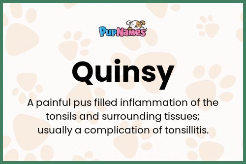 Quinsy dog name meaning