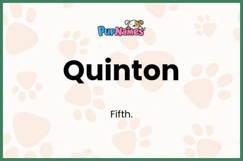 Quinton dog name meaning