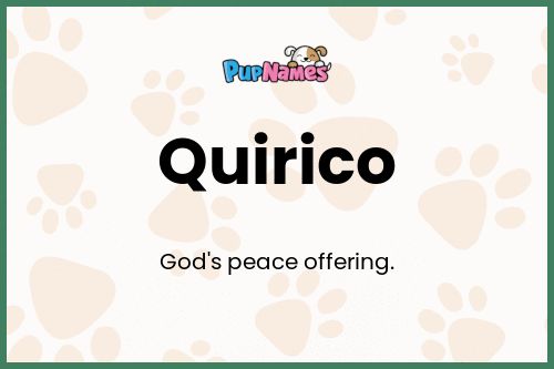 Quirico dog name meaning