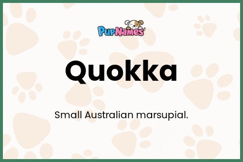 Quokka dog name meaning