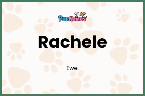 Rachele dog name meaning