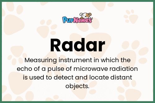 Radar dog name meaning