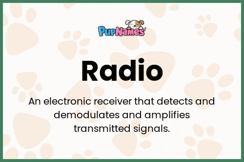 Radio dog name meaning