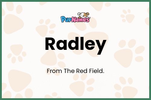 Radley dog name meaning