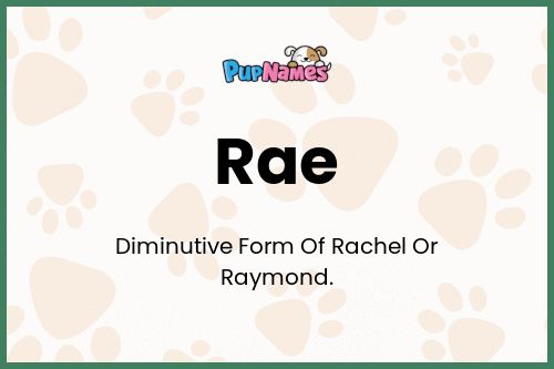 Rae dog name meaning