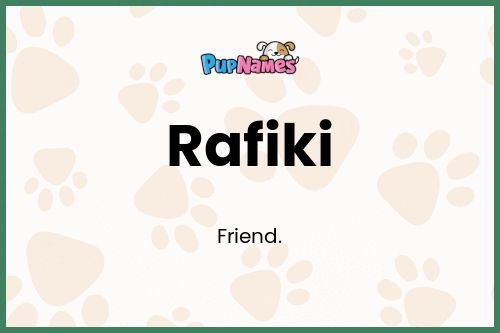 Rafiki dog name meaning