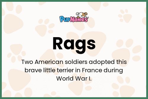 Rags dog name meaning