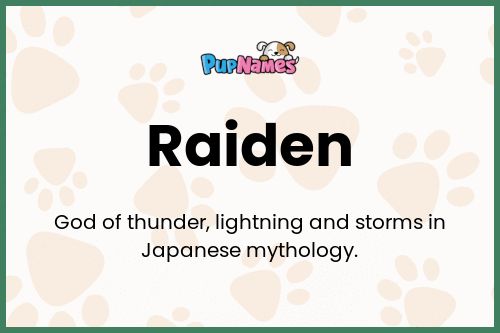 Raiden dog name meaning