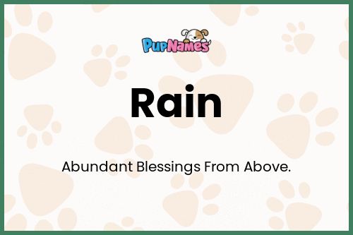 Rain dog name meaning