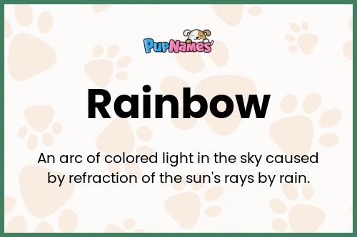 Rainbow dog name meaning