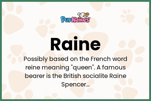 Raine dog name meaning