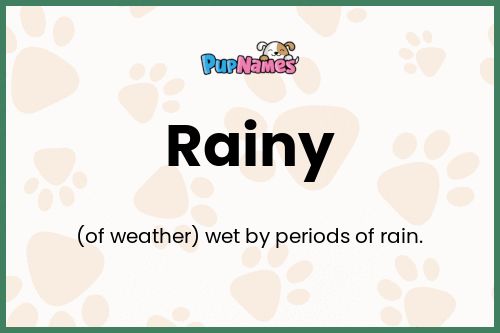 Rainy dog name meaning